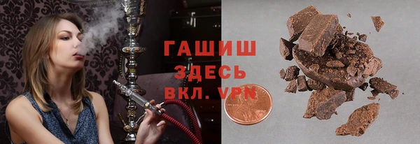 гашик Алексин