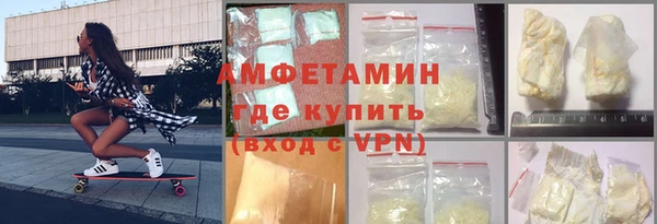 гашик Алексин