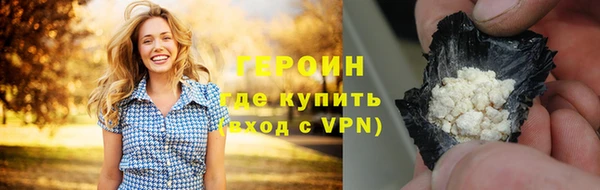 гашик Алексин