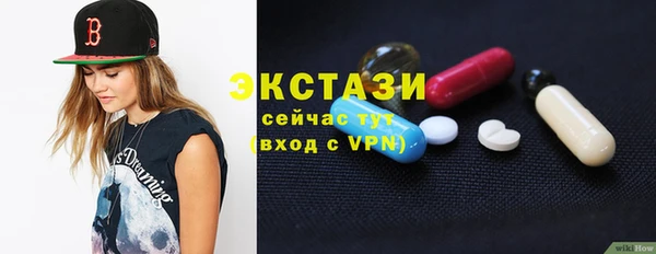 гашик Алексин