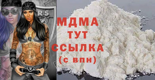гашик Алексин