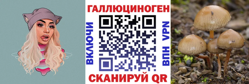наркота  Санкт-Петербург  Псилоцибиновые грибы MAGIC MUSHROOMS 